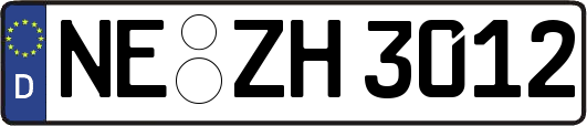 NE-ZH3012