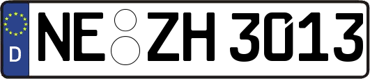 NE-ZH3013