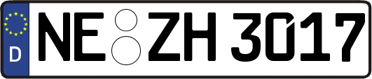 NE-ZH3017
