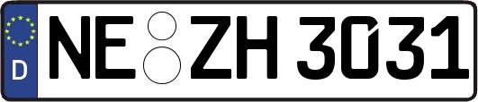 NE-ZH3031