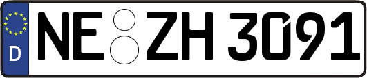 NE-ZH3091