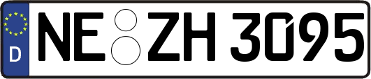 NE-ZH3095
