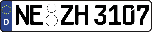 NE-ZH3107