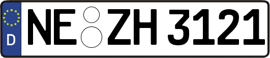NE-ZH3121