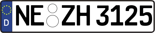 NE-ZH3125