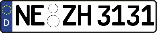 NE-ZH3131
