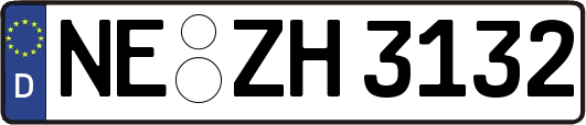 NE-ZH3132