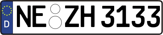 NE-ZH3133