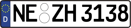 NE-ZH3138