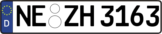 NE-ZH3163