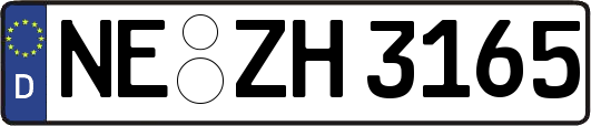 NE-ZH3165
