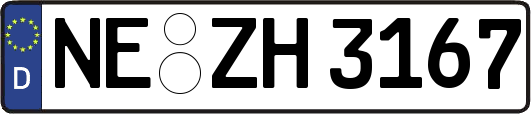 NE-ZH3167