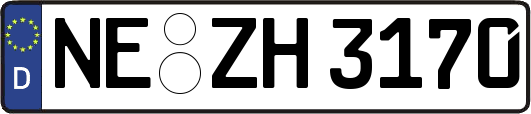 NE-ZH3170