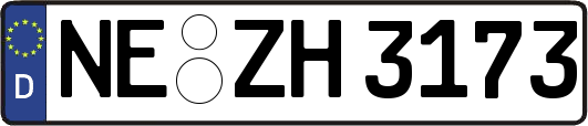 NE-ZH3173
