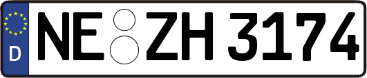 NE-ZH3174
