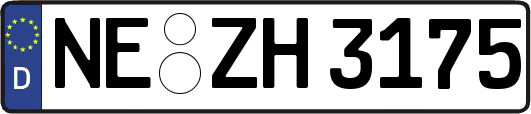 NE-ZH3175