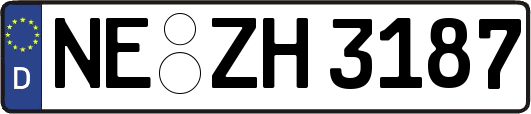 NE-ZH3187