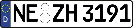 NE-ZH3191