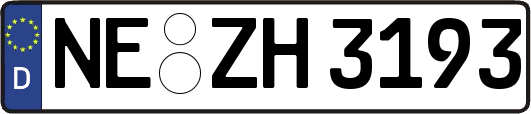 NE-ZH3193
