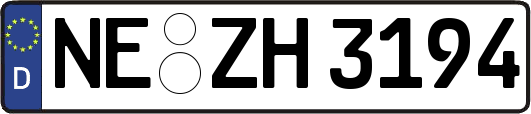 NE-ZH3194