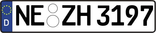 NE-ZH3197