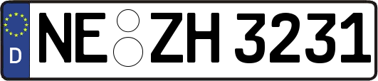 NE-ZH3231