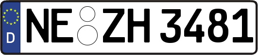 NE-ZH3481