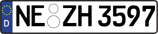 NE-ZH3597