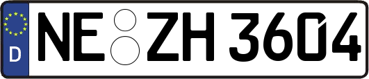 NE-ZH3604