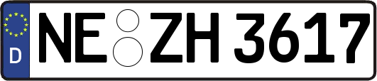 NE-ZH3617