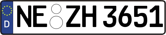 NE-ZH3651