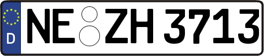 NE-ZH3713