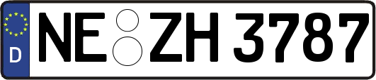 NE-ZH3787