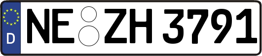 NE-ZH3791