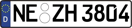 NE-ZH3804