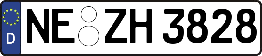 NE-ZH3828