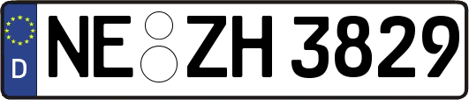 NE-ZH3829