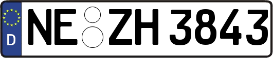 NE-ZH3843