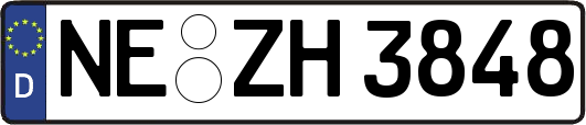 NE-ZH3848