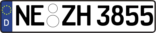 NE-ZH3855