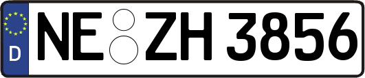 NE-ZH3856