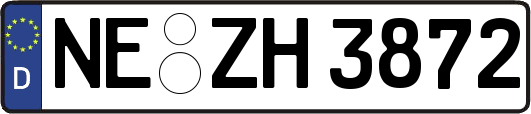 NE-ZH3872