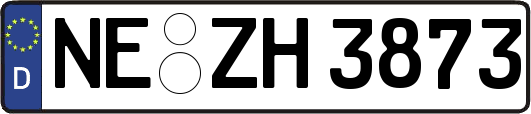 NE-ZH3873