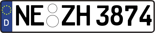 NE-ZH3874