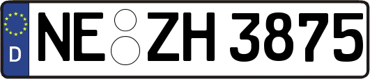 NE-ZH3875