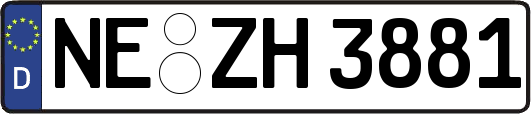 NE-ZH3881