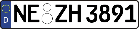 NE-ZH3891