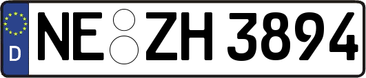 NE-ZH3894