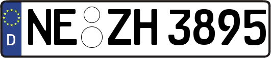 NE-ZH3895