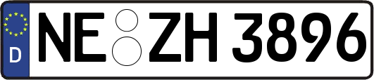 NE-ZH3896